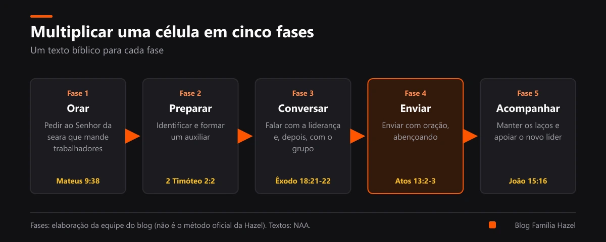 Cinco fases da multiplicação de uma célula: orar, preparar, conversar, enviar e acompanhar, cada uma com um texto bíblico